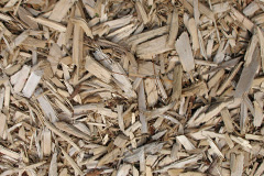 biomass boilers Girlsta